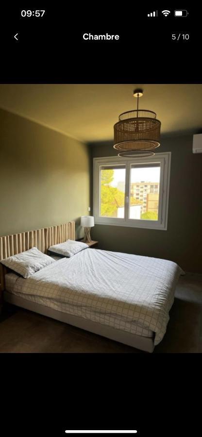 Appartement Spacieux, Proche Centre Ville. 阿雅克肖 外观 照片